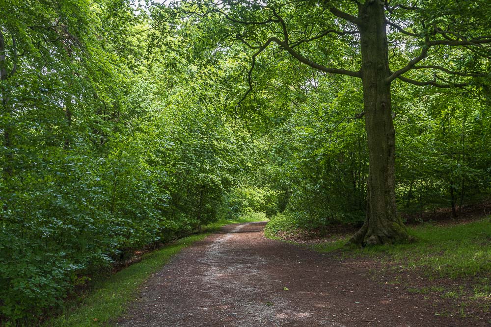 Longshaw Longshaw